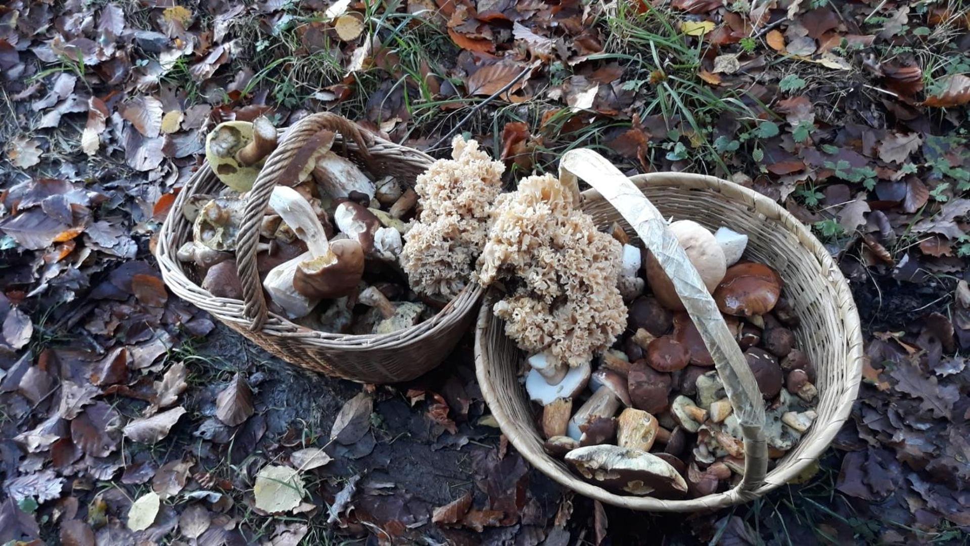 Villa L'Escale Gourmande Hatrival Esterno foto